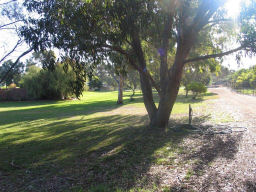Luscious, shady gardens